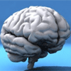 Dr. Brain: Warm Up game