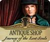 Antique Shop: Journey of the Lost Souls oyunu
