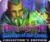 Dreampath: Guardian of the Forest Collector's Edition oyunu