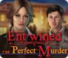 Entwined: The Perfect Murder oyunu