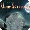 Shiver 3: Moonlit Grove Collector's Edition oyunu
