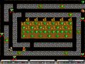Free download Double Digger screenshot
