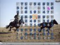 Free download NatGeo Traveler's Sudoku: China screenshot