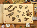 Paradise Quest ekran resmini bedava indir 2