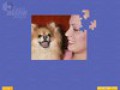 Super Jigsaw Puppies ekran resmini bedava indir 1