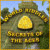 World Riddles: Secrets of the Ages oyunu