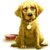 101 Puppy Pets
