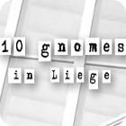 10 Gnomes in Liege oyunu