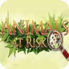 Animals At Risk oyunu