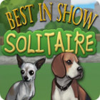 Best in Show Solitaire oyunu