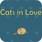 Cats In Love oyunu