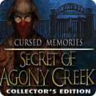 Cursed Memories: The Secret of Agony Creek Collector's Edition oyunu Cursed Memories: The Secret of Agony Creek Collector's Edition oyunu