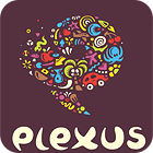 Plexus Puzzles: Rebuild the Earth oyunu