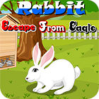 Rabbit Escape From Eagle oyunu