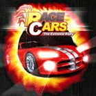 Race Cars The Extreme Rally oyunu
