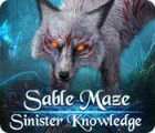 Sable Maze: Sinister Knowledge Collector's Edition oyunu