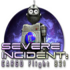 Severe Incident: Cargo Flight 821 oyunu