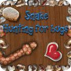 Snake - Hunting for Bugs oyunu Snake - Hunting for Bugs oyunu