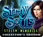 Stray Souls: Stolen Memories Collector's Edition oyunu