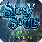 Stray Souls: Stolen Memories oyunu