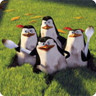 The Penguins of Madagascar: Pollution Solution oyunu