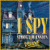 I Spy: Spooky Mansion oyunu