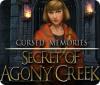 Cursed Memories: The Secret of Agony Creek game