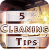 Five Cleaning Tips oyunu