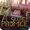 A Secret Promise oyunu