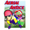 Aerial Antics oyunu