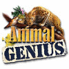 Animal Genius oyunu