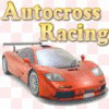 Autocross Racing oyunu