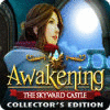 Awakening: The Skyward Castle Collector's Edition oyunu