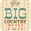 Big Country Fun oyunu