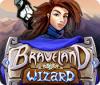 Braveland Wizard oyunu