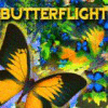 Butterflight oyunu