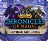Chronicles of Magic: The Divided Kingdoms oyunu