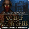 Cursed Memories: The Secret of Agony Creek Collector's Edition oyunu