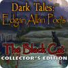Dark Tales: Edgar Allan Poe's The Black Cat Collector's Edition oyunu