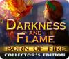 Darkness and Flame: Born of Fire Collector's Edition oyunu