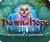 Dawn of Hope: The Frozen Soul Collector's Edition oyunu