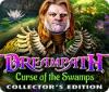 Dreampath: Curse of the Swamps Collector's Edition oyunu