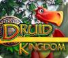 Druid Kingdom oyunu