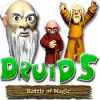 Druid's Battle of Magic oyunu