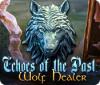 Echoes of the Past: Wolf Healer oyunu