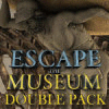 Escape the Museum Double Pack oyunu