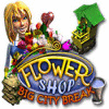 Flower Shop: Big City Break oyunu