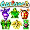 Galapago oyunu