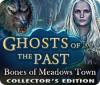 Ghosts of the Past: Bones of Meadows Town Collector's Edition oyunu