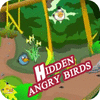 Hidden Angry Birds oyunu